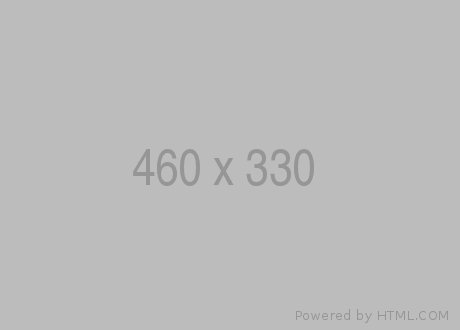 Imagen de 460 por 330 2 píxeles